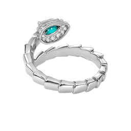 Silver Ring left view